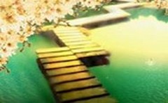 设计报价